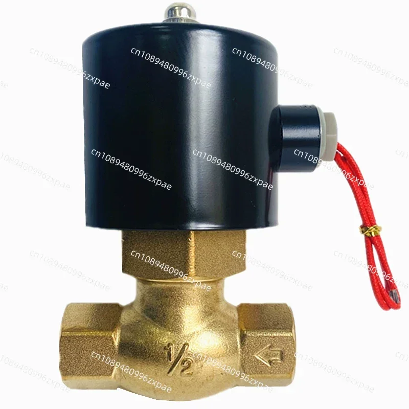 High-Temperature Steam Solenoid Valve 2L/US-20 | All-Copper Coil AC220V, 2-Way NC for DN15/20/25 Pipe Systems