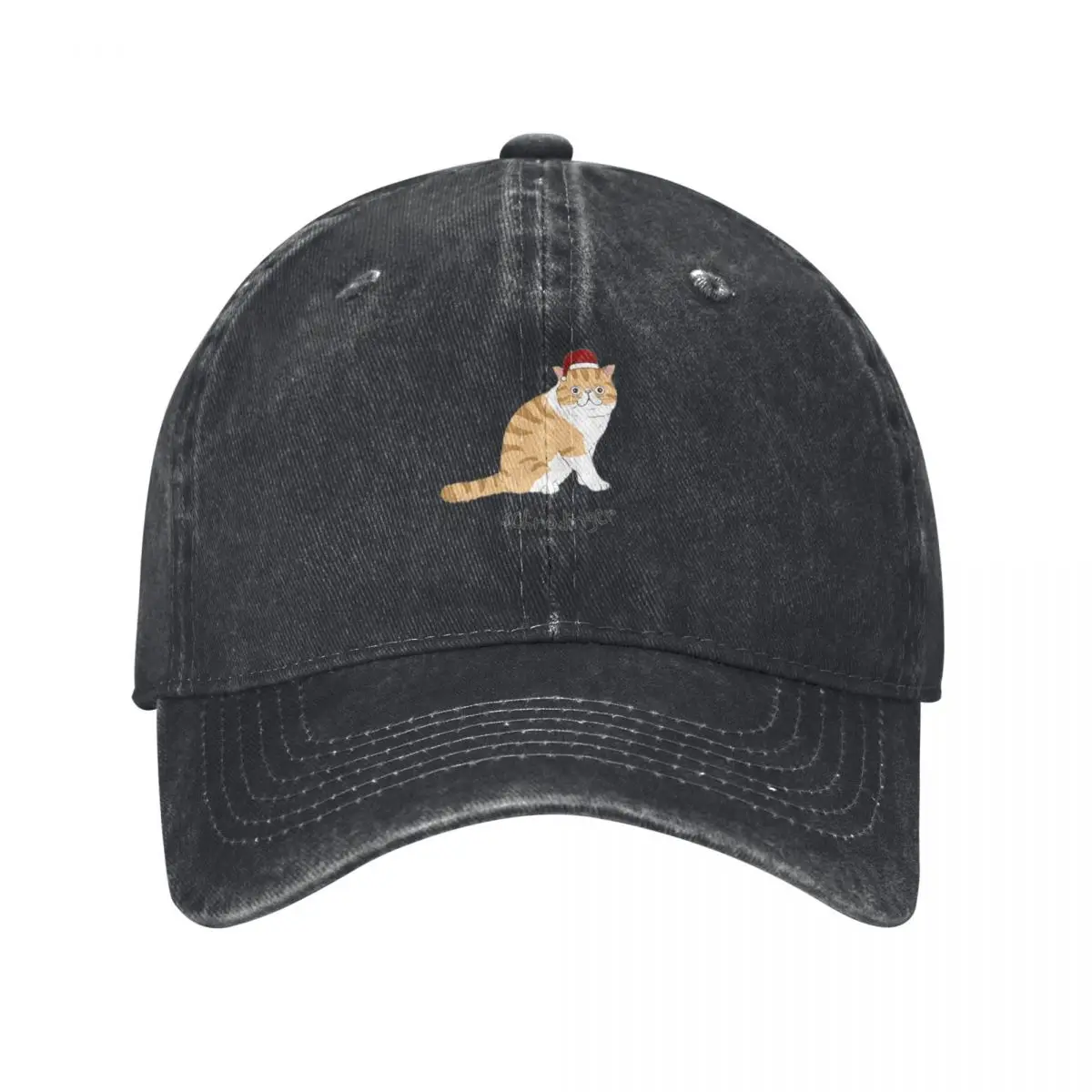 Schr?dinger Christmas Santa Cat Meowy Catmas Baseball Cap Big Size Hat Christmas Hat Caps Male Women's