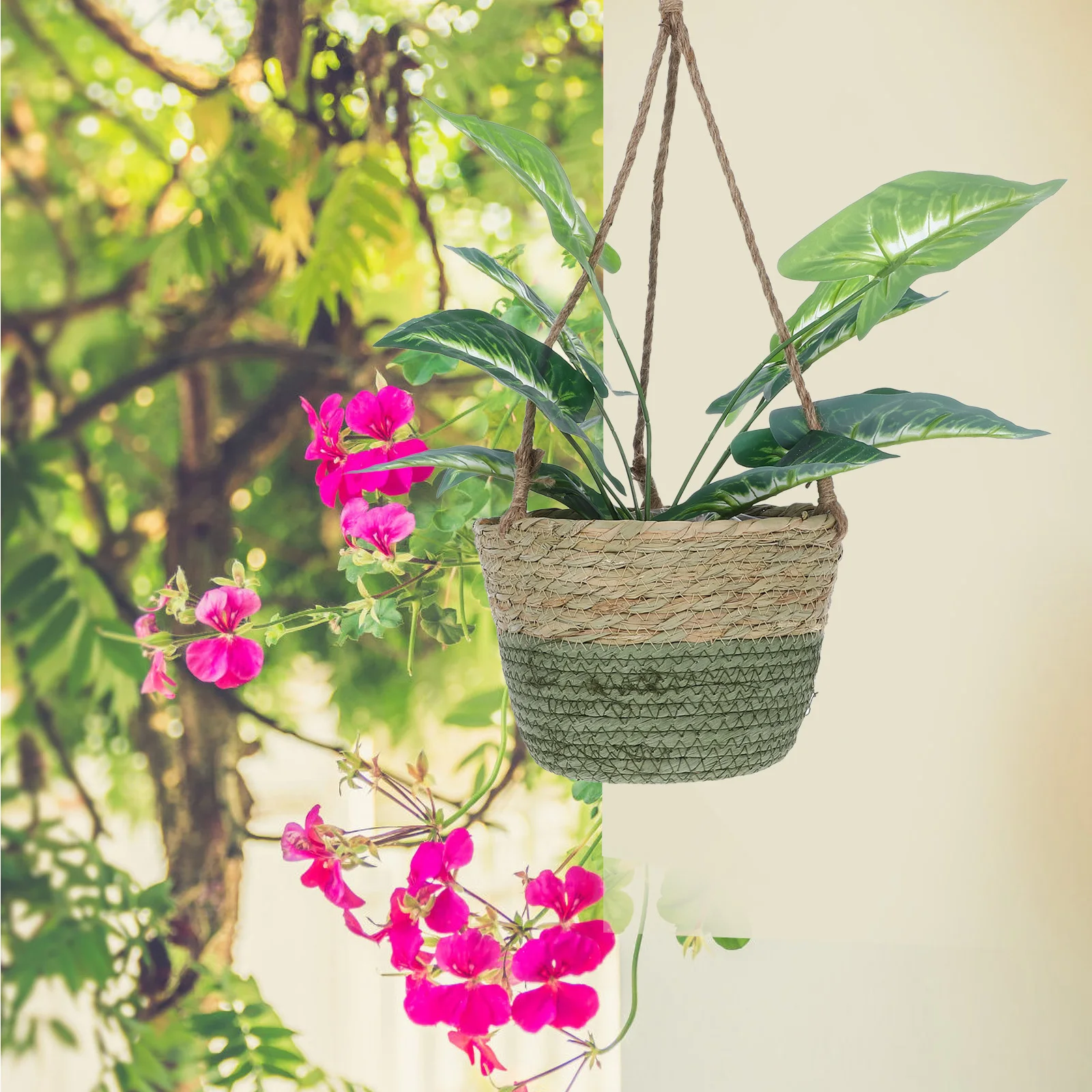 سلة معلقة منسوجة للنباتات - حامل نباتات داخلي وخارجي، زارع معلق صغير للزهور، خضرة بوعاء، ديكور حائط،
