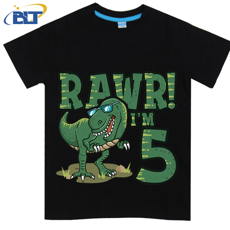 Dinosaur Birthday for 5 Year Old Boy Printed Kids T-shirt Summer Cotton Short Sleeve Casual Tops Suitable for Boys and Girls