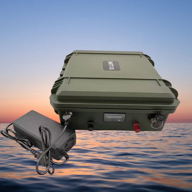 IP67 Waterproof 24V 100Ah 50Ah 60Ah 80Ah 120Ah 150Ah Lithium Ion Battery with BMS for Boat Thruster Solar Inverter +10A Charger