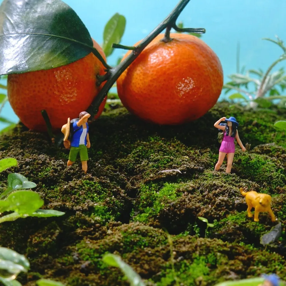DIY Decorative Items Featuring Small-scale Miniature Landscapes of Couples on Mountain Climbing Trips