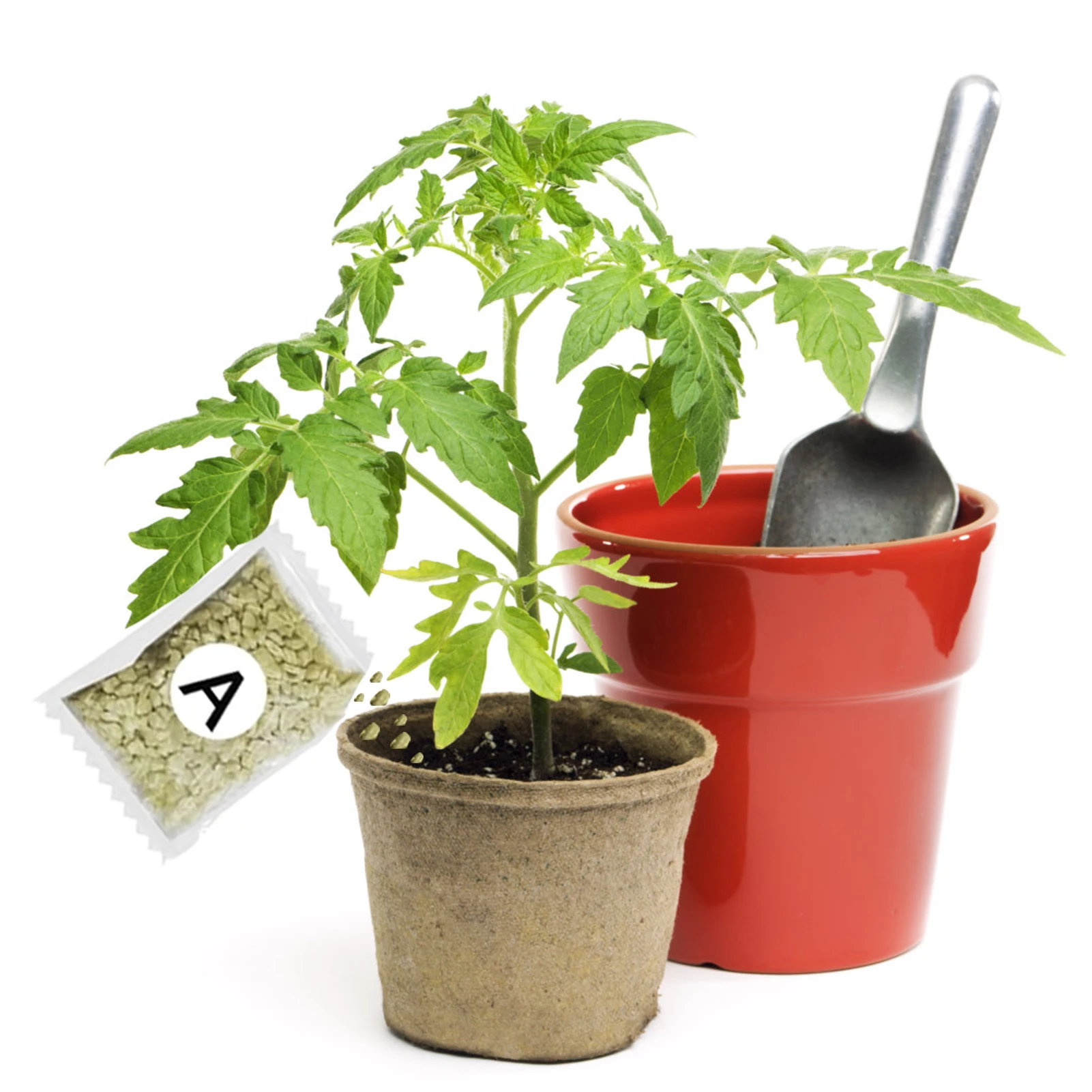 Garden Fertilizer A+B Hydroponic Plant Concentrated Easy to Use Promote Absorption Efficiency for Vegetables Flowers Grass