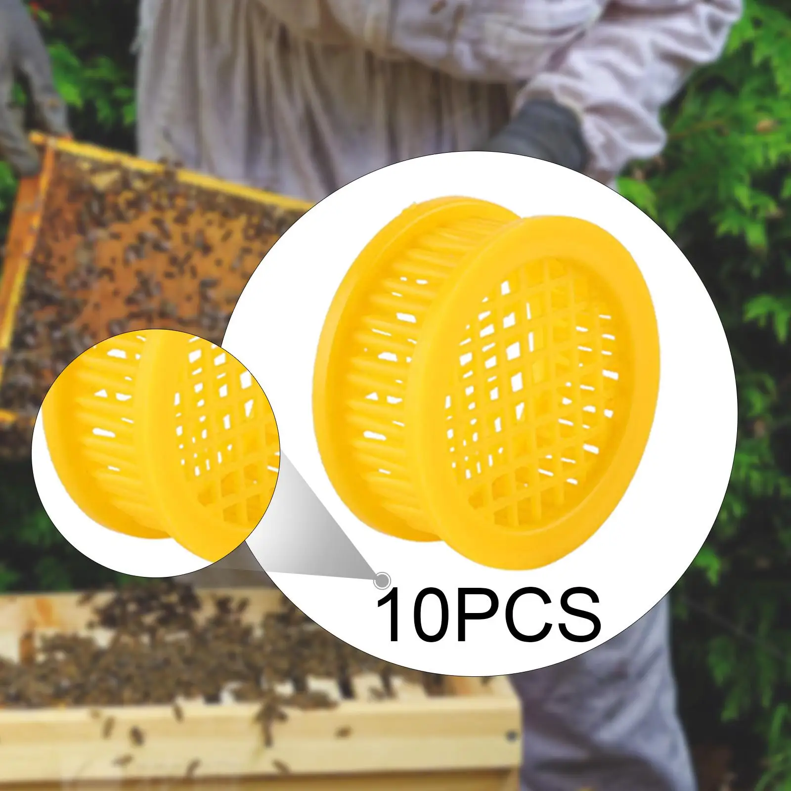 

10Pcs Queen Bee Cages for Isolation of Queen Bees Beekeeping Tools for Farm