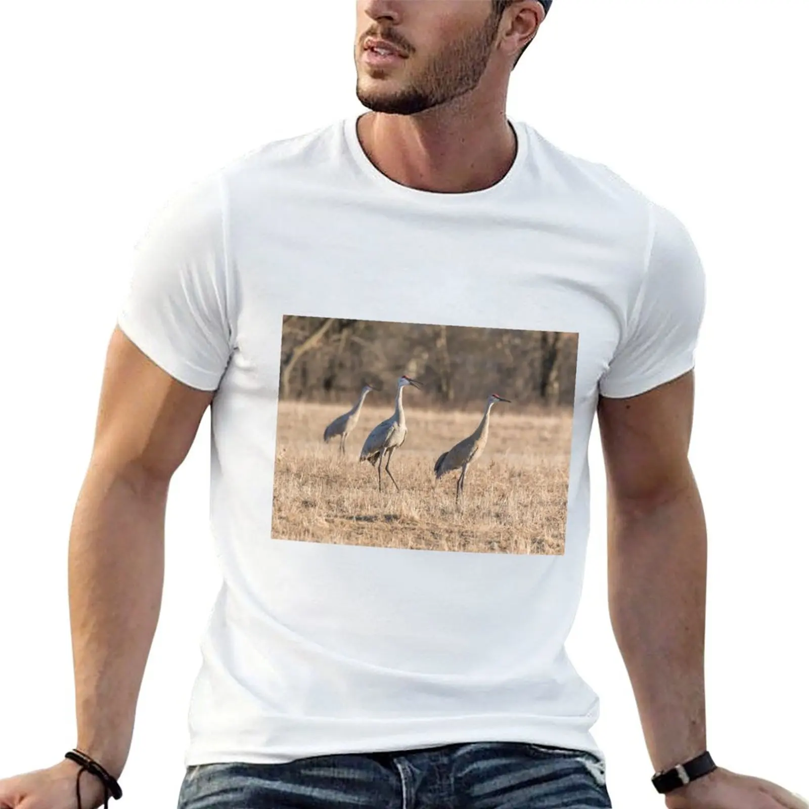 Sandhill Cranes 2018-3 T-Shirt Holiday Outdoor T-Shirt