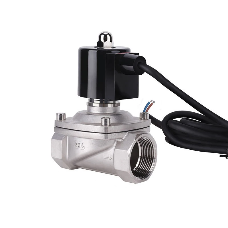 

1-1/2" 304 Stainless Steel Fountain Solenoid Valve 110V 24V 12V 24v Normally Closed Solenoid Valve For Underwater