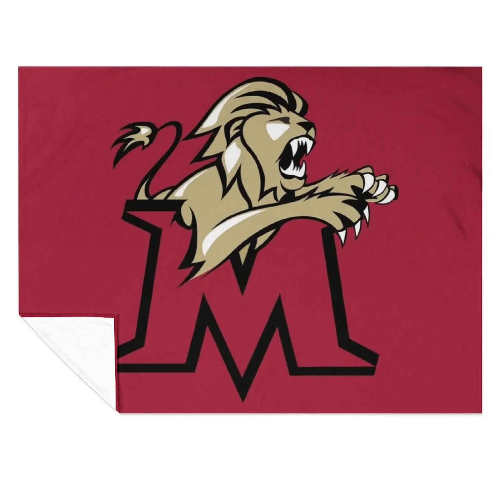 

Molloy College Throw Blanket for winter Beach Decorative Sofa Softest Blankets