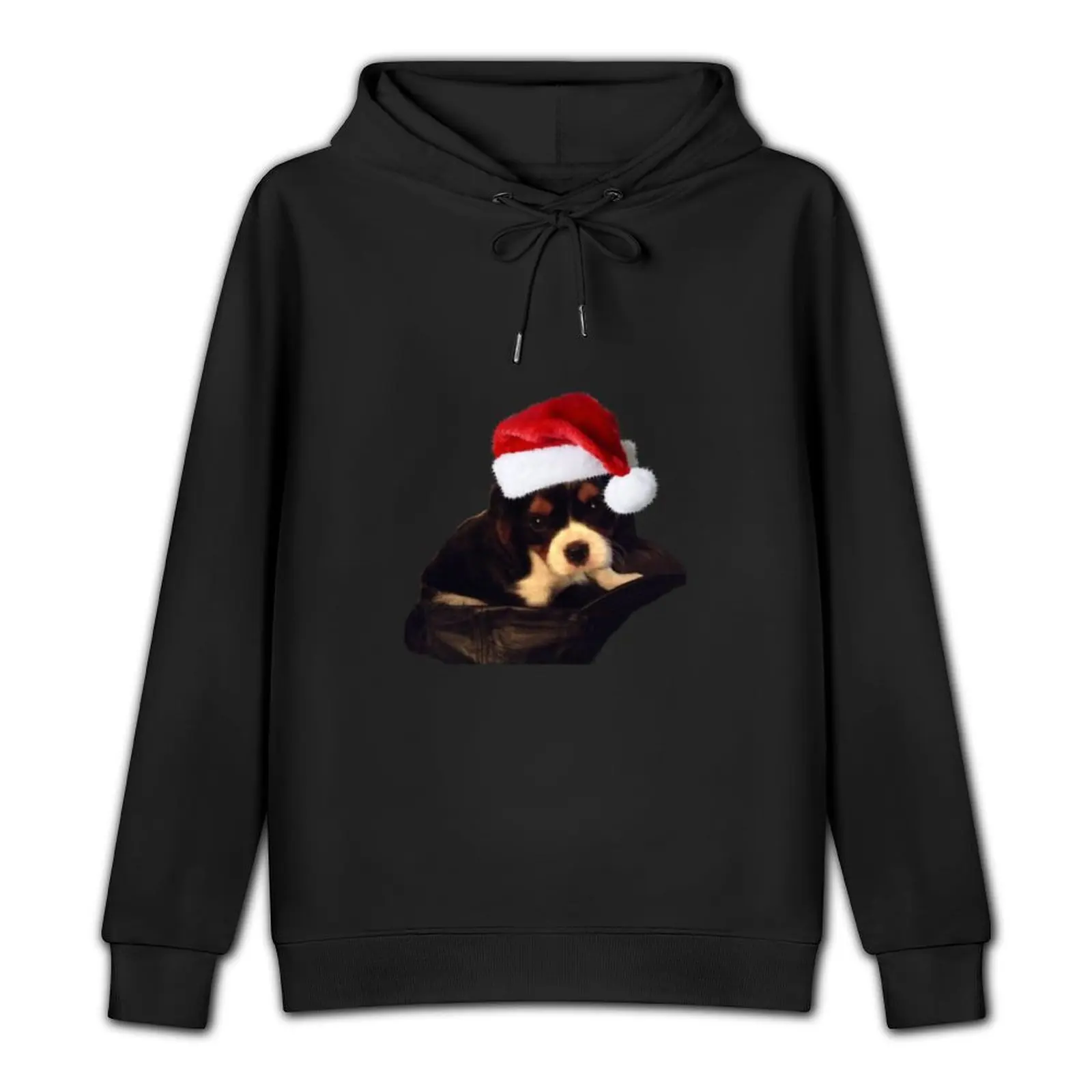 Tydog with Christmas Beanie Pullover Hoodie mens clothes men wear hooded shirt men clothing mens hoodie