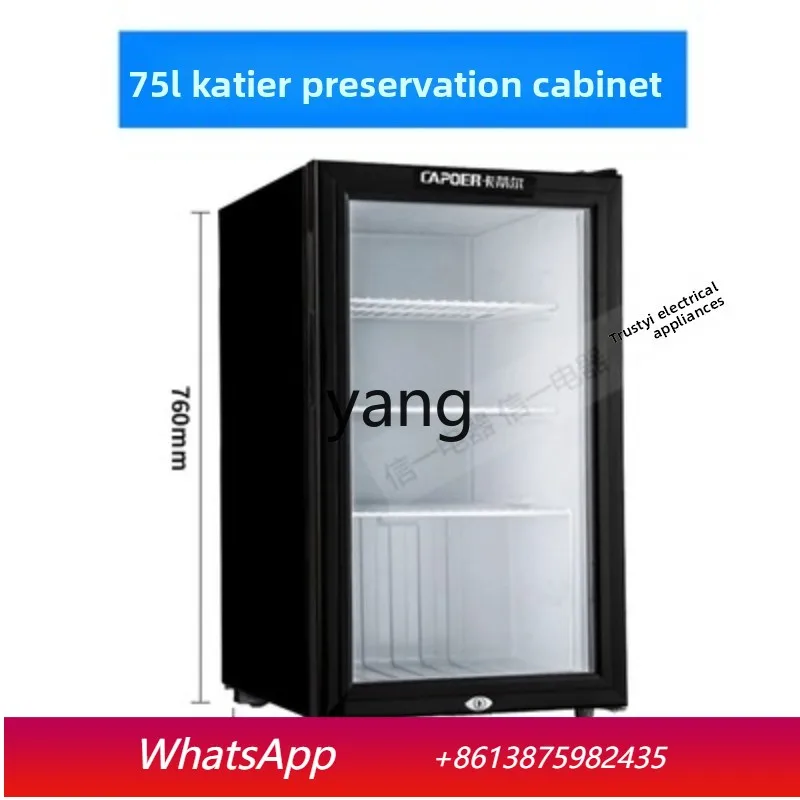 Lcx Refrigerated Display Cabinet Food Sample Single Door Beverage Refrigerated Vegetables and Fruits Fresh Refrigerator