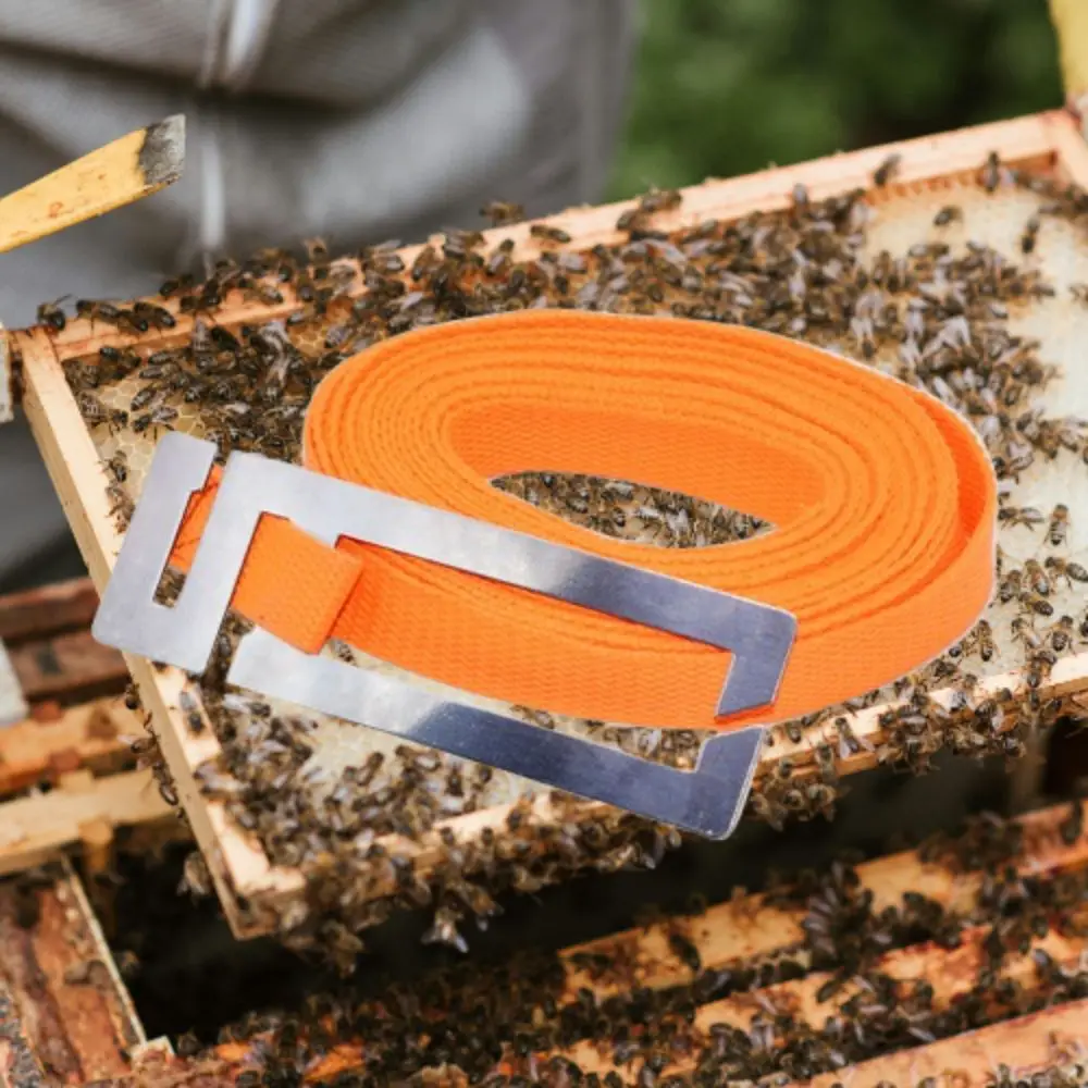 

Portable 5-meters Beehive Binding Strap Fixed with Buckle Hive Binding Device Adjustable Lashing Belt Beekeeping Tool