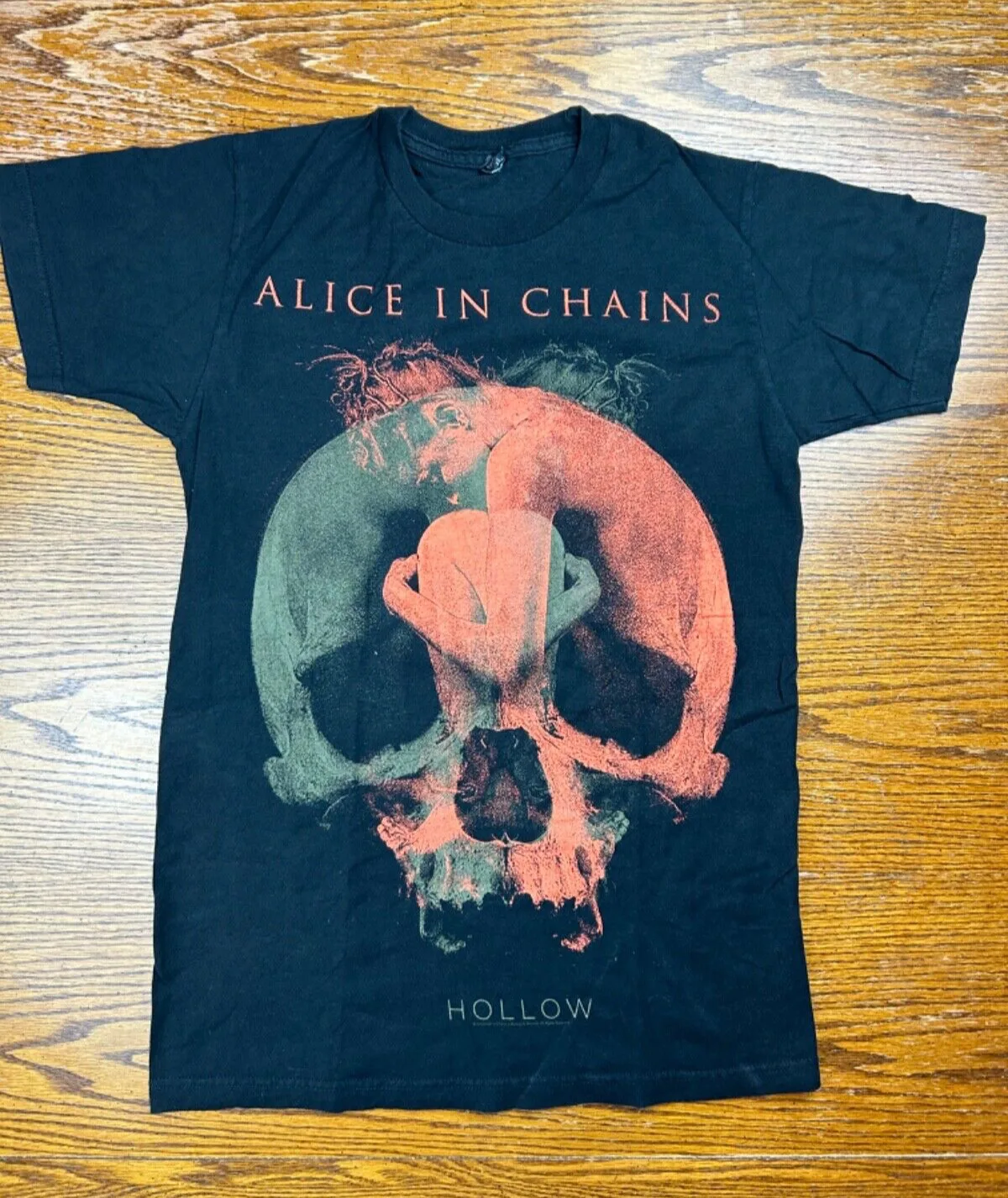 2013 Alice In Chains Band T Shirt Sz S Hollow Seattle Grunge Heavy Metal Rock