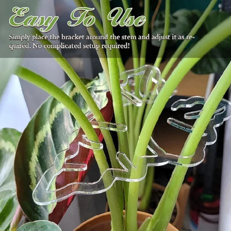 AC88-2PCS Monstera Grapple Monstera Leaf Plant Support Turtle Shell Bamboo Clamp Set Unique&Aesthetic Monstera Plant Support