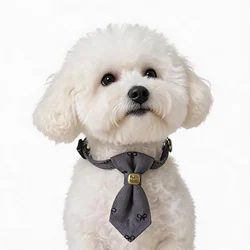 Collar ajustable para gatos y perros pequeños cierre rápido seguridad