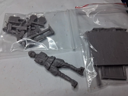 Buyer photo of this resin kit