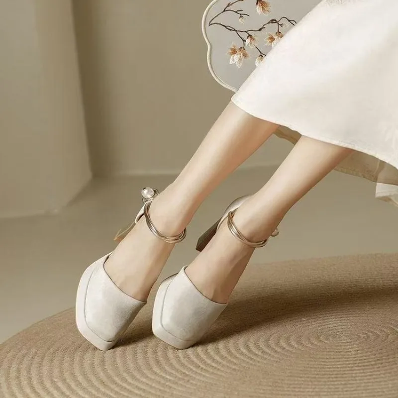 Pumps Pointed Tip Women's High Heels Heeled Sandals Woman Shoes for Woman 2026 Trend