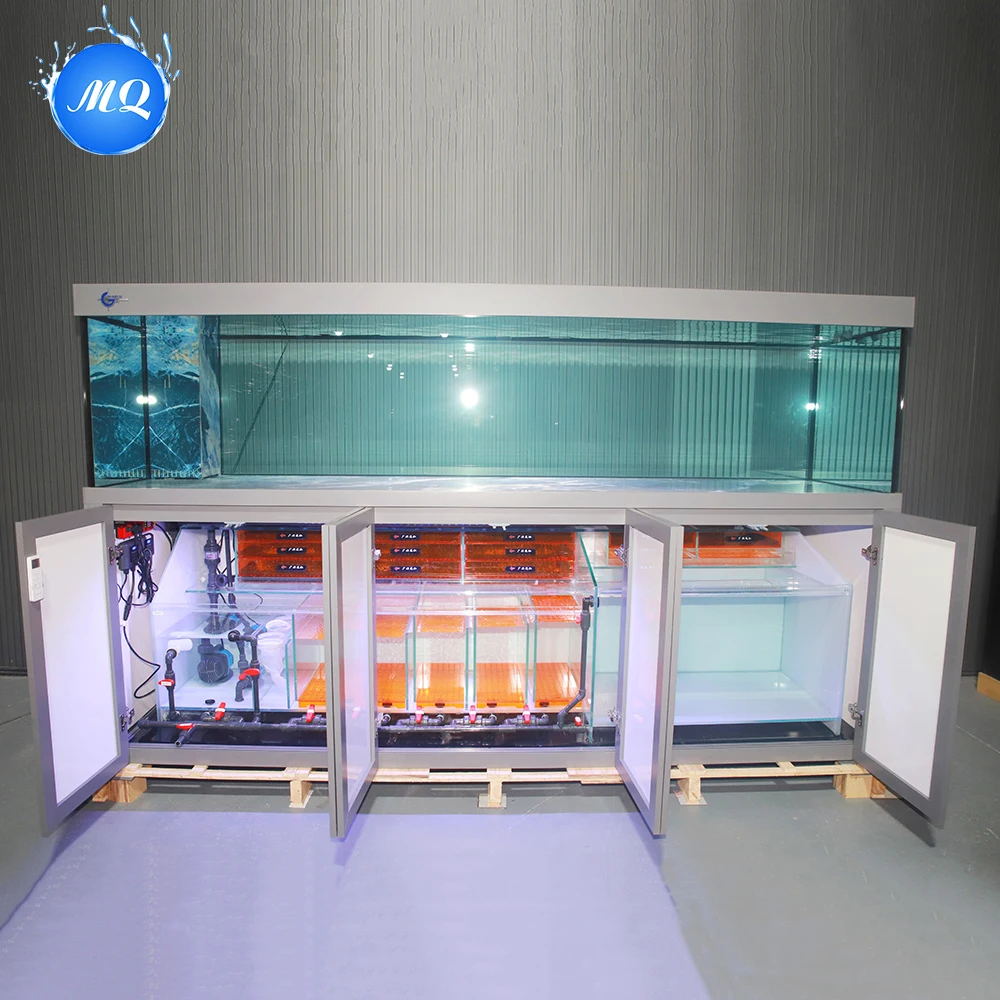 Wholesale Silent Large Glass F - огляд і ціна Aquarium Fish Big Size