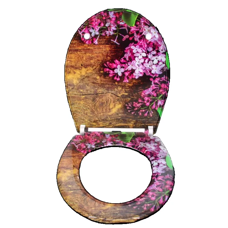 

Soft Close Hotel Bathroom Toilet Lid Accessories Toilet Lid