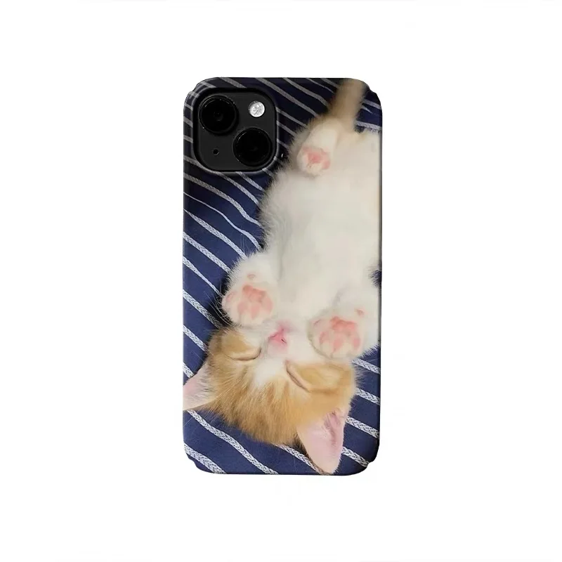 

Blue Background Lying Flat Kitten Phone Case for IPHONE 17 Air 16E 15 PROMAX 14 Plus 13 12 MINI 11 PRO XR Acrylic Phone Cover