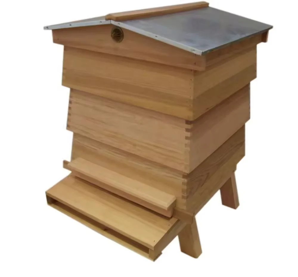 Beekeeping Equipment WBC Beehive From Multi-sweet Bee Hive Factory