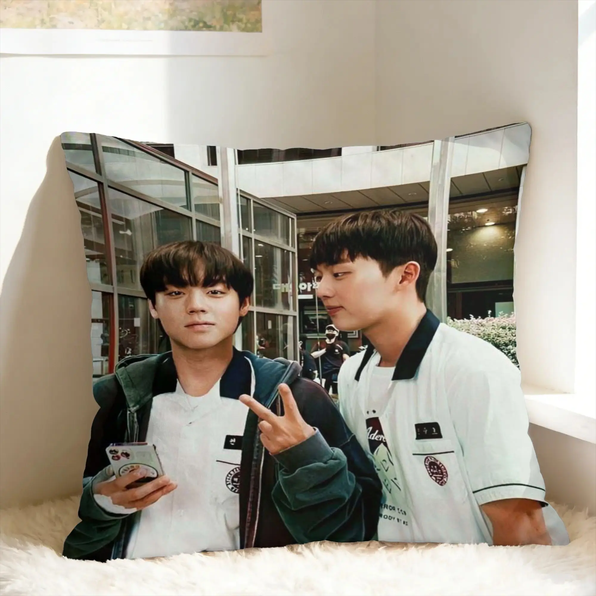 Pillow Cover Hot Kdrama Weak Hero Class  Vintage Pillow Case For Sofa Couch Bed Living Room Pillowcases