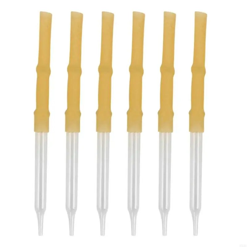 2025 6 PCs Pipetes Laboratório Laboratório Labor