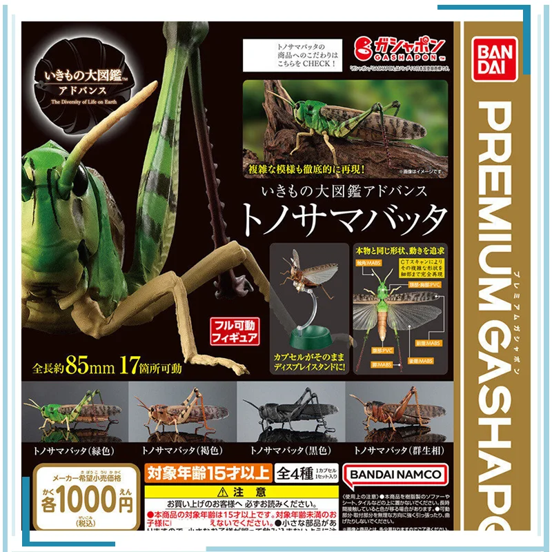 

Simulated locust action figure model Dynastes locust Grasshopper Gashapon Collect Model in Stock BANDAI Original