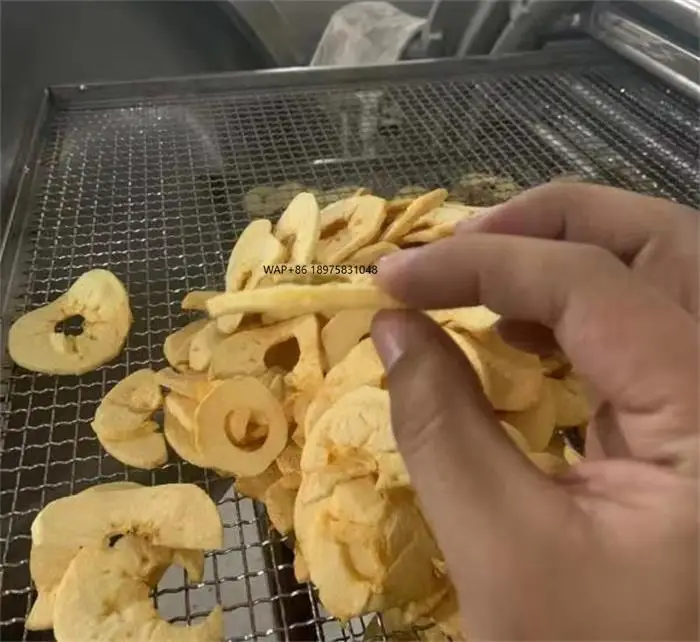 

Automatic Fruit and Vegetable Crisp Processing Equipment Non-Fried Deep Processing with Motor Pump for Crisp Production