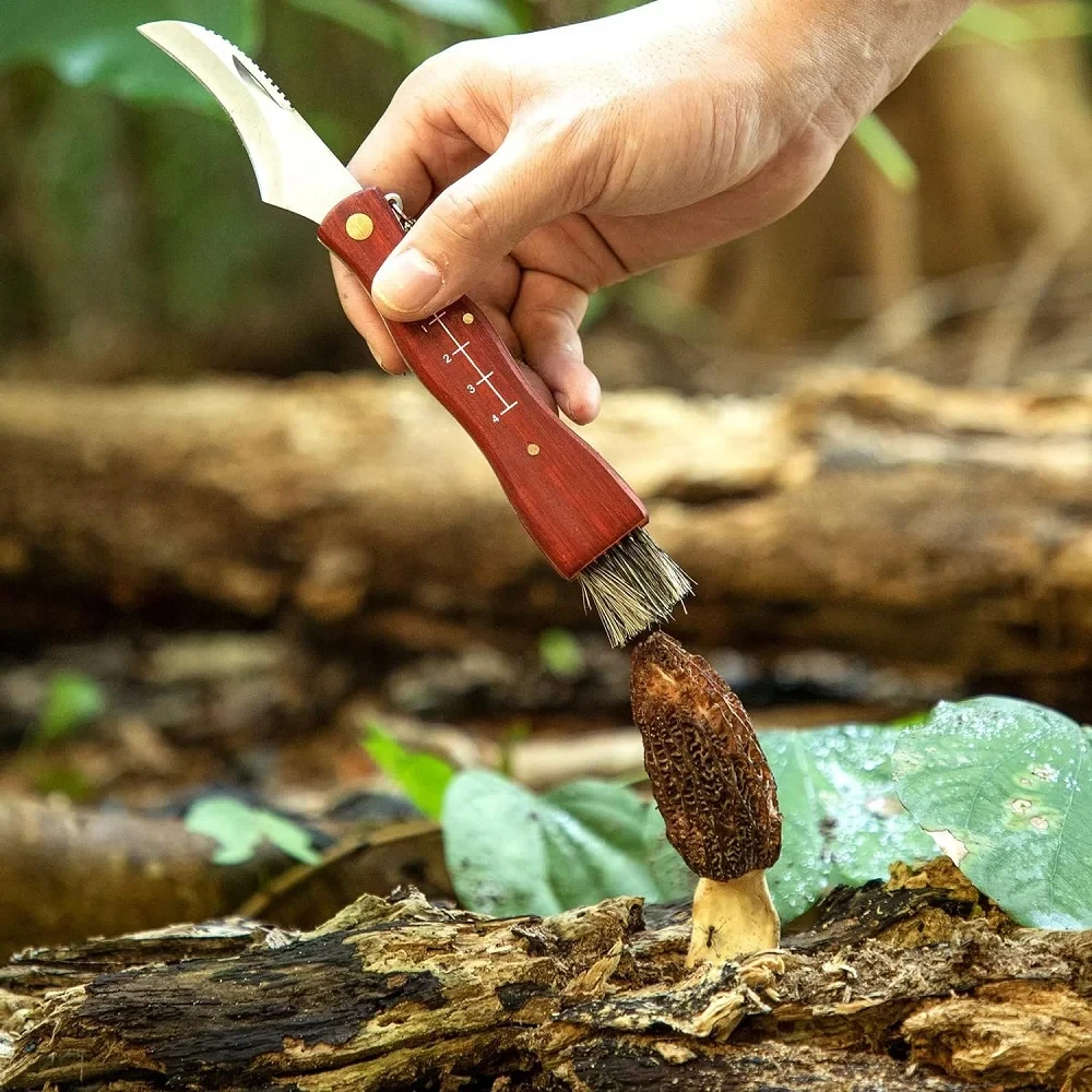 الفطر سكين للفرد روزوود مقبض شفرة من الفولاذ المقاوم للصدأ لأداة EDC التخييم شواء في الهواء الطلق #5