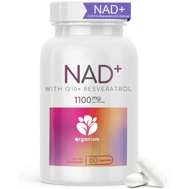 

Liposomes containing Coenzyme Q10, trans resveratrol, D-ribose, supporting cell renewal, energy anti-aging, 60 capsules