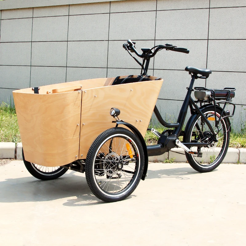 

Europe Style CE Certified Front Loading Cargo Bike Electric Tricycle 3 Wheels Twin Baby Stroller Tricycle for Sale Pet & Child