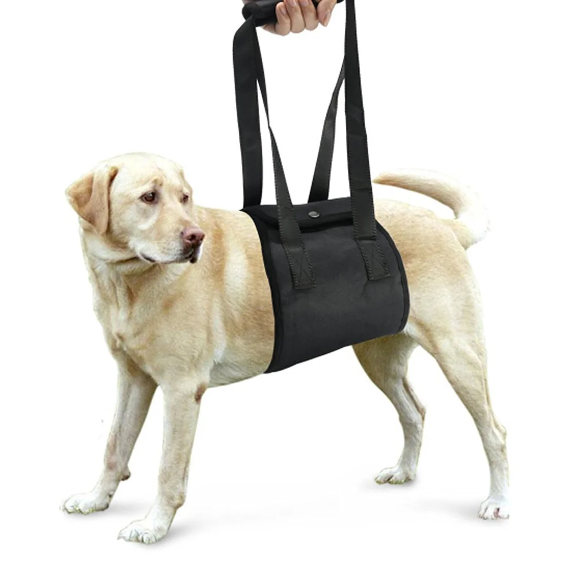 Dog Traction Belt Puppy Harness Walk The Small Hook and Loop Lift Support Lifting Rehabilitation Elderly Accessories Sling