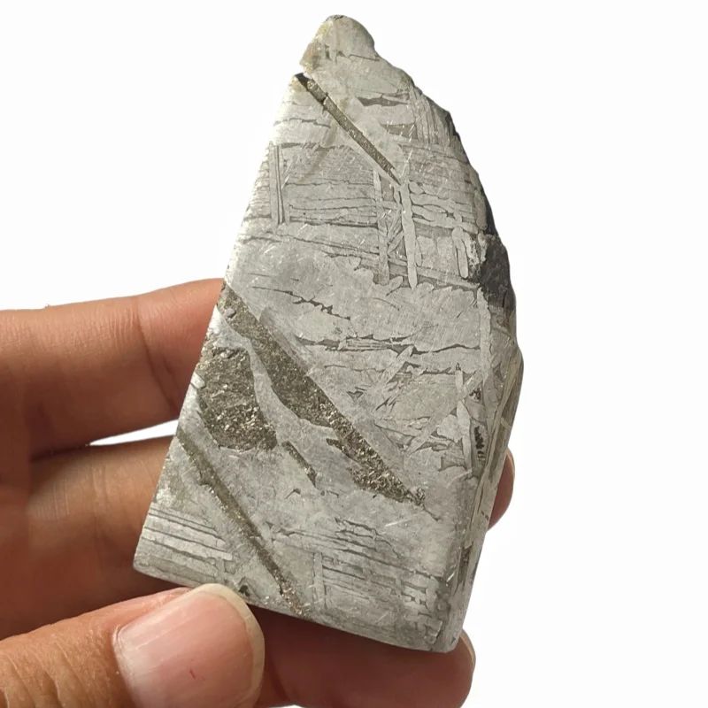 Genuine Muonionalusta Meteorite Slice Distinct Widmanstätten Veins Irregular Space Mineral Specimen for Collectors TC793
