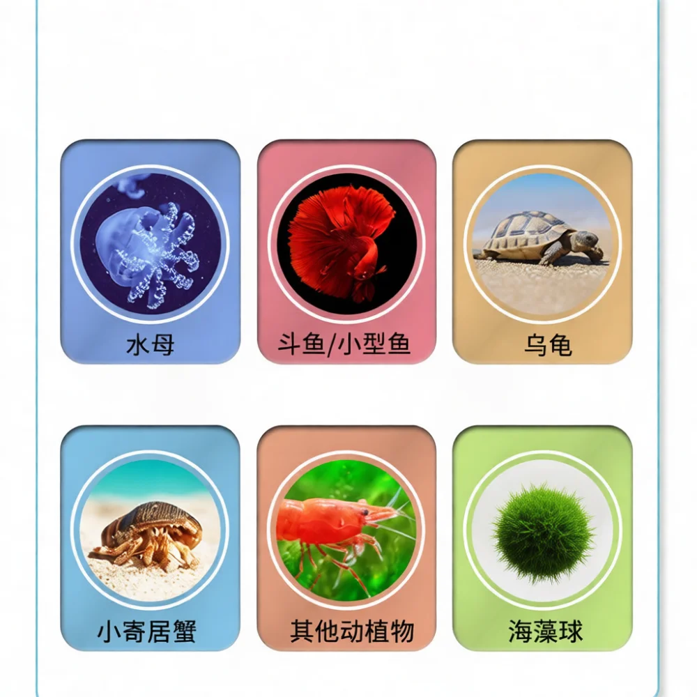 Moderno Acquario da Tavolo Rot - Marine Life Aquariums recensione e prezzo