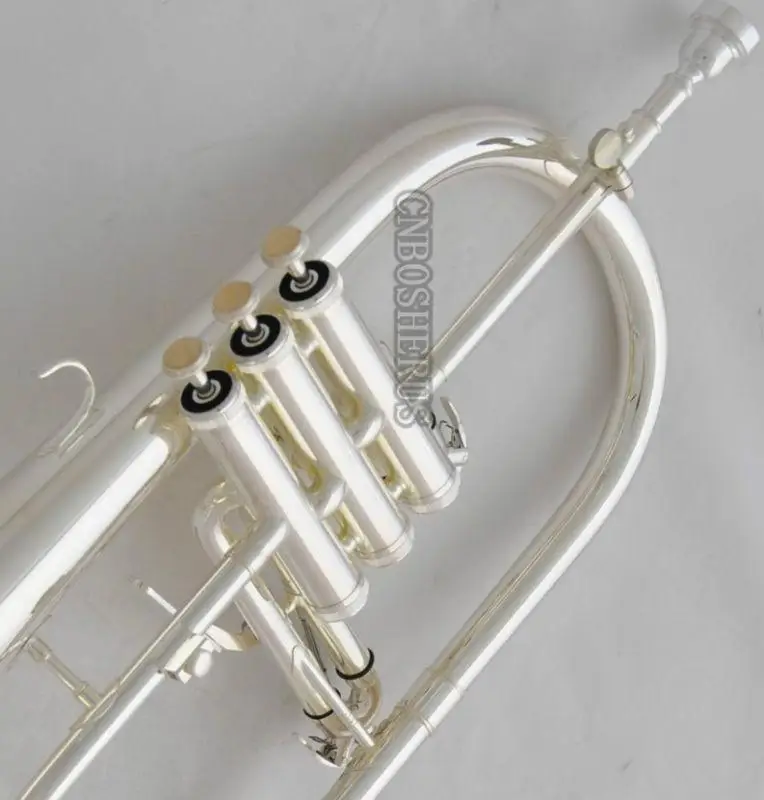 High quality Sale!!! Professional Silver Plated Flugelhorn Monel Valves Bb Trigger Horn +Case