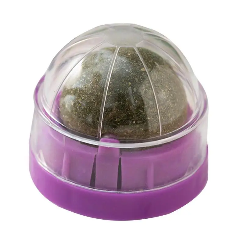 Cat Mint Ball Roller Catnip Ball Wall Toys Cat Wall Treats Organic Catnip Healthy Teeth Cleaning Chew Toys Cat Bite Toy Catnip