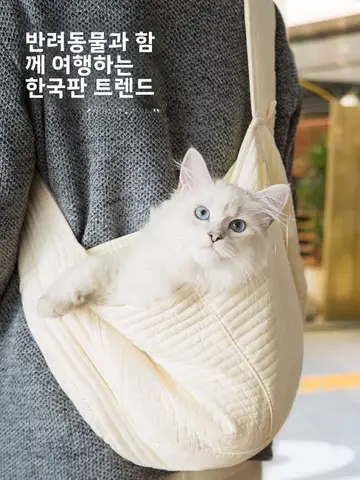 휴대용 고양이 가방 브랜드 통용용 가방형 가방형 고양이 가방 고양이 가방 휴대용 가방형 고양이 가방 가방형 고양이 가방