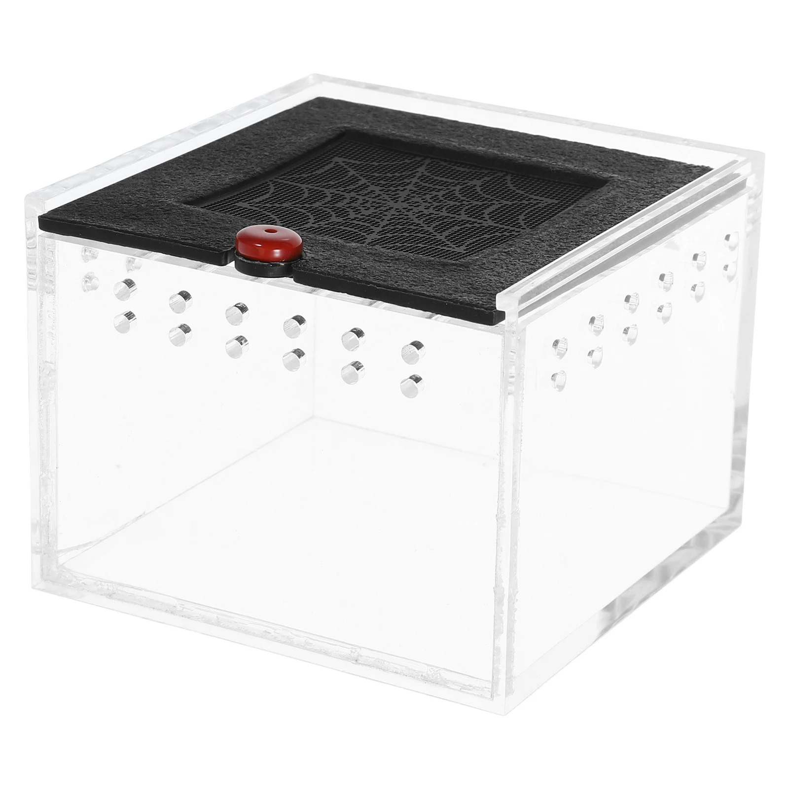 

Reptile Feeding Box Acrylic Terrarium Cage Tank Animal Case Lightweight Durable Small Hole Design Ventilation Anti Escape Spider