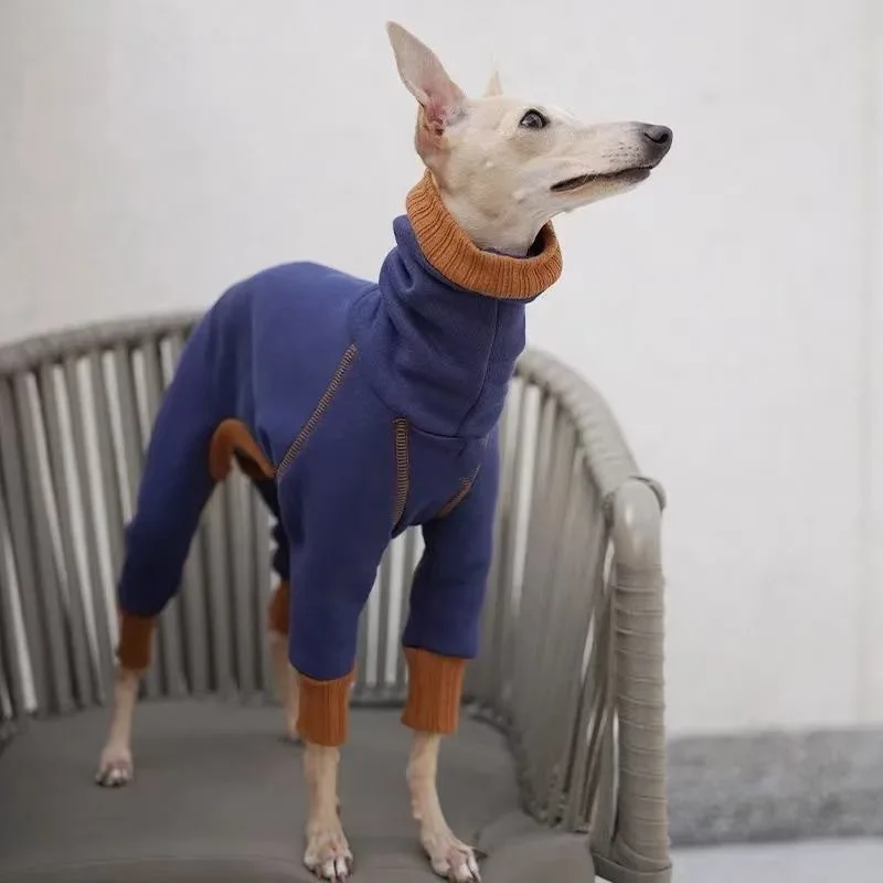 Thumbnail 2 - #20 Highest Rated Pet Winter Clothing to Buy in 2026