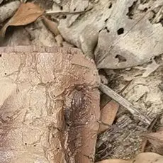 

Водонепроницаемый ящик для хранения ключей для сада на открытом воздухе, безопасные ключи в форме камня для домашнего двора