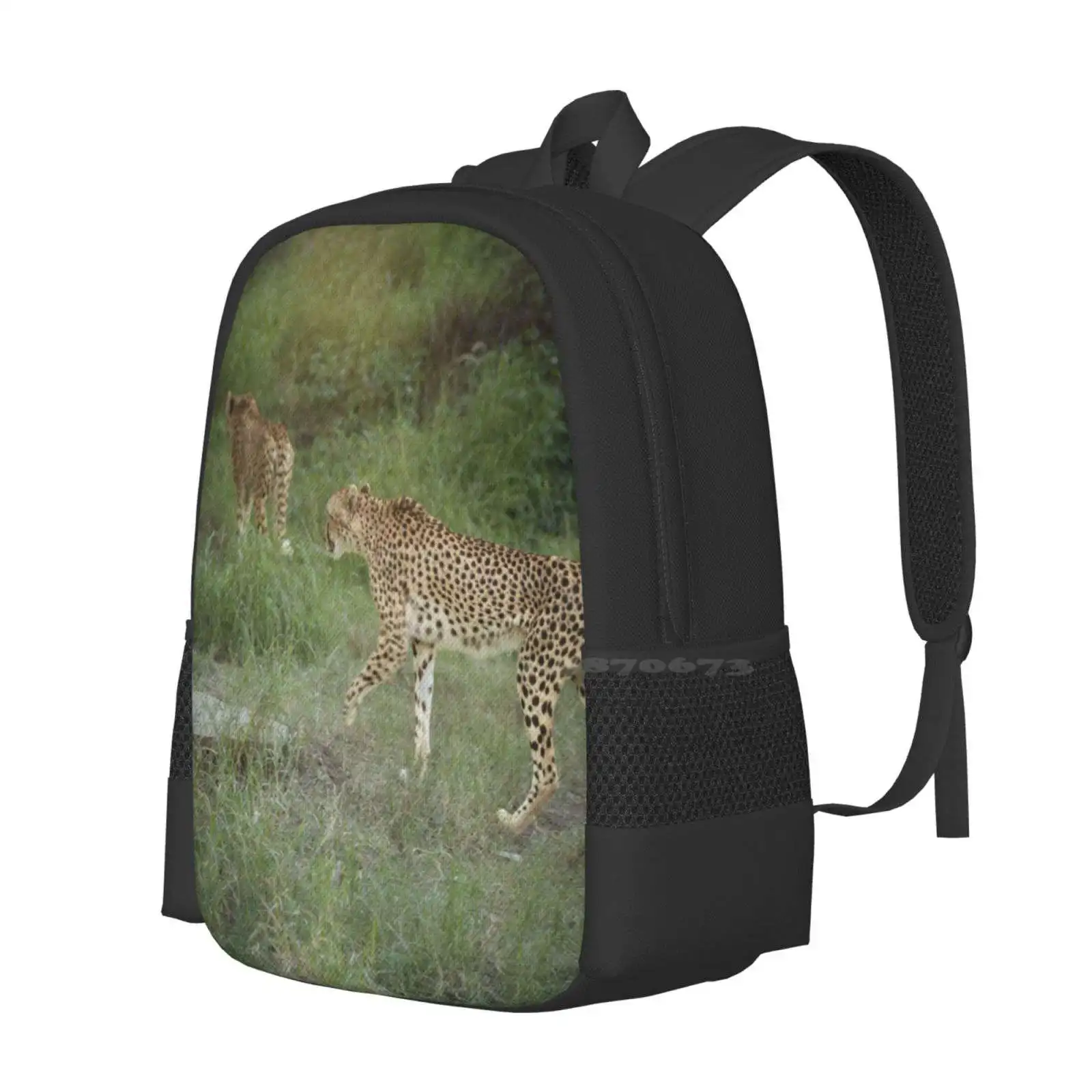 2 Cheetahs Hot Sale Schoolbag Backpack Fashion Bags Cheetah Big Cat Animal Photo Animals Grass Zoo Hd Photo