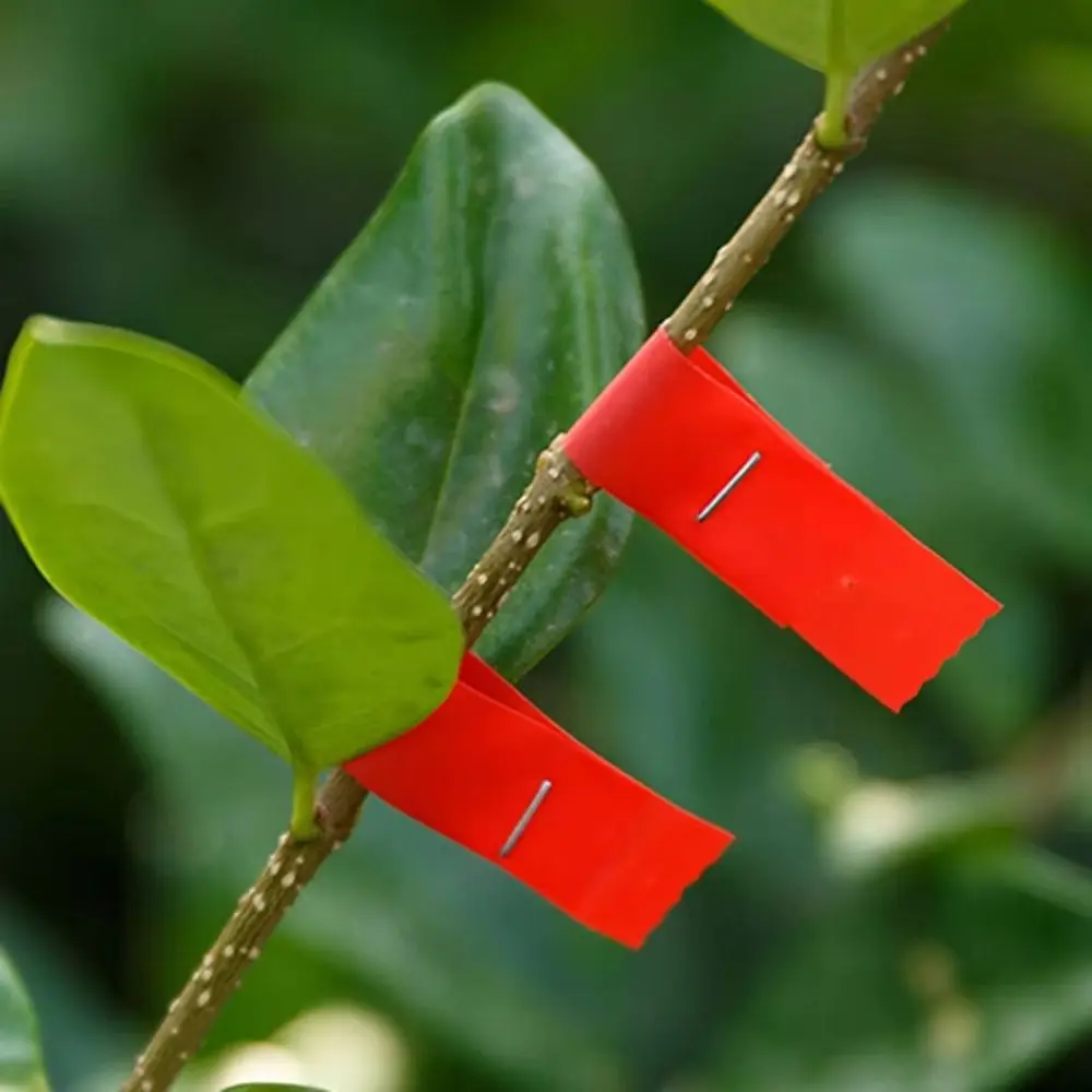 10pcs 10PCS Tying Machine Tape Tying Binding Tool 1Box Staple Plant Branch Cable Tie Branch Tape Tying Tape