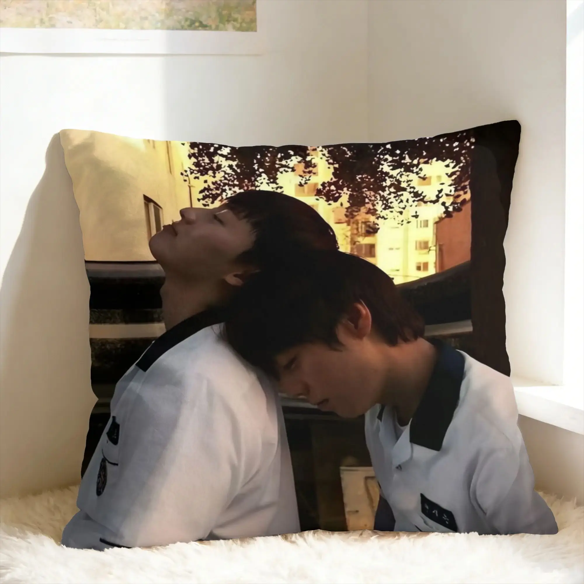 Hot Kdrama Weak Hero Class Pillow Case  Funny Pillow Cover Soft Pillowcases For Couch Sofa Bedroom