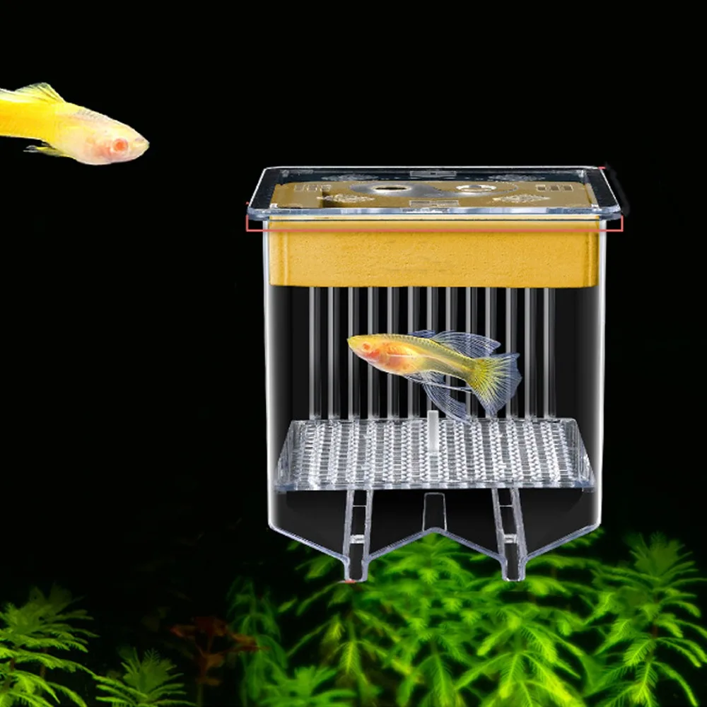 

Transparent Guppy Breeder Box Detachable Prevent Escape Floating Hatching Box Permeable Fish Tank Divider Home Use