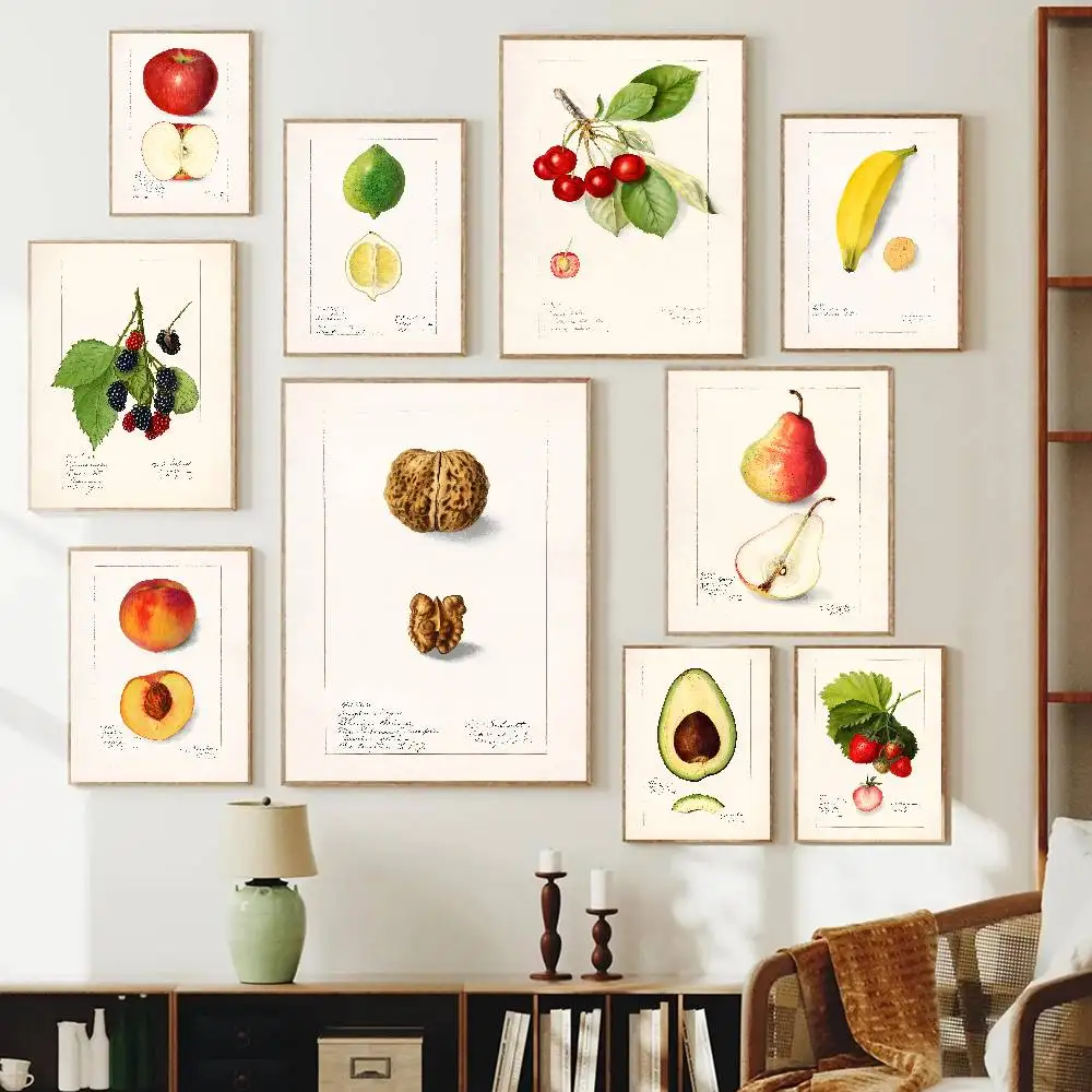 Vintage Botanical Fruit Paper Poster Hand Drawn Apple Cherry Pear Avocado Print Kitchen Dining Room Home Wall Decor Art