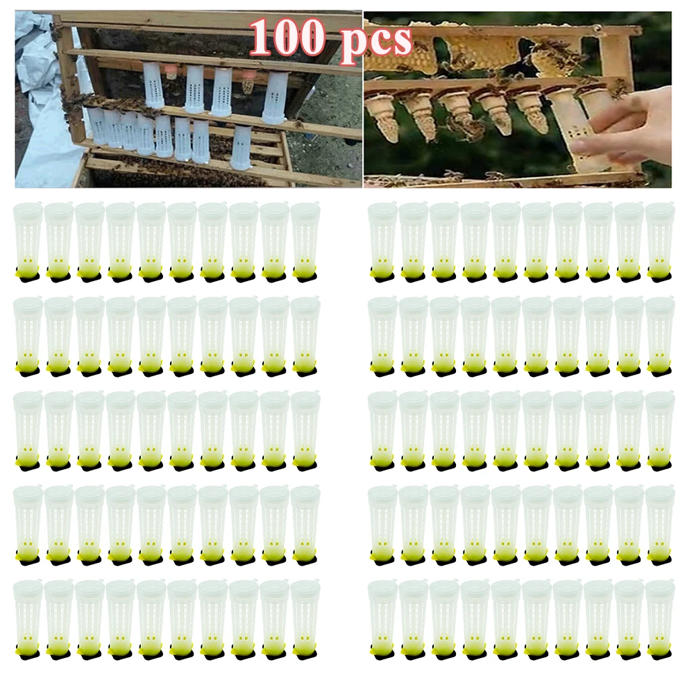 100PCS/150PCS/180PCS/200PCS Queen Hair Roller Cage Plastic Protector Cell From Bite For Hatch Breeding Nicot Beekeeping Tools