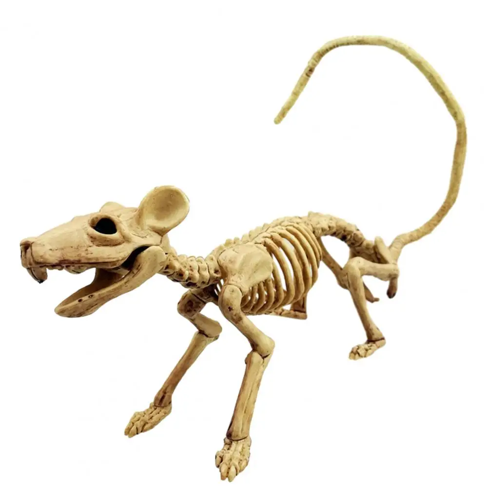 

Halloween Mouse Skeleton Decoration Terrifying Halloween Mouse Prop Spooky Halloween Mouse Skeleton Ornament Realistic for Party