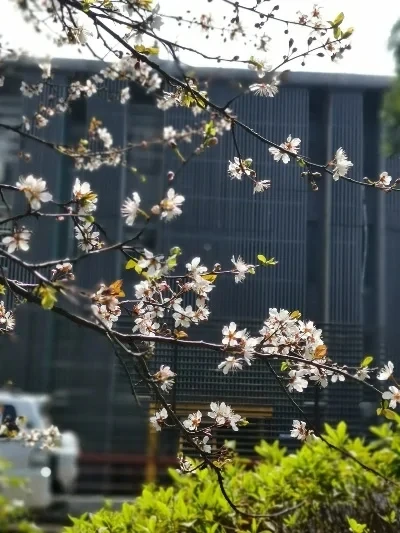 Achteras Cup Contragewicht Blok Gear Cover voor Hyper GO MJX H12Y H12Y + H12P Metalen Upgrade Onderdelen Kit Rc Auto vrachtwagen Buggy Truggy