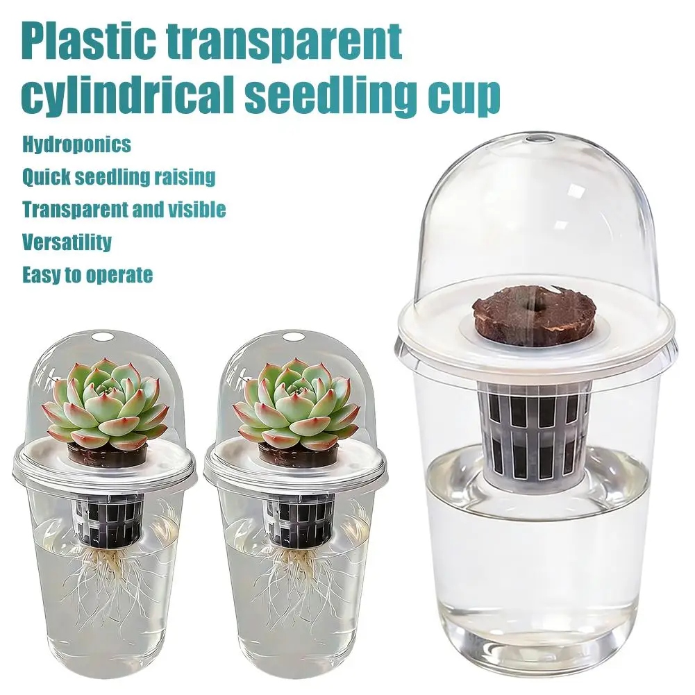 Transparent Hydroponic Plant Growing Cup Seedling Starter Pot with Humidity Dome for Succulent & Plant Propagation