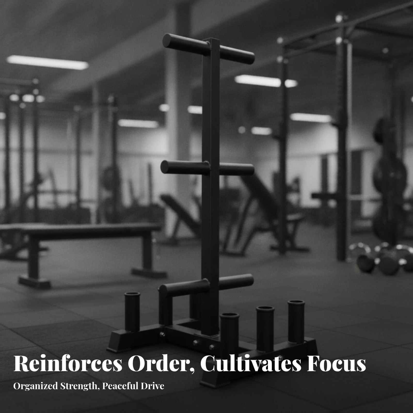 weight-storage-rack-with-barbell-holders-heavy-duty-plate-rack-with-barbell-holders-organizer-compact-stable-for-home-gym-owners