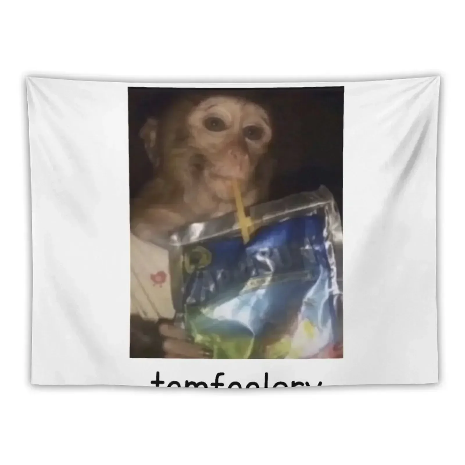 Tomfoolery funny monkey Tapestry Bedroom Deco Bedroom Decor Aesthetic Tapestry